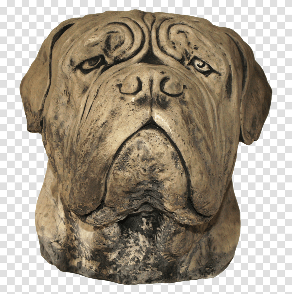 Large Dog Head Download Bullmastiff, Lion, Mammal, Animal, Bronze Transparent Png