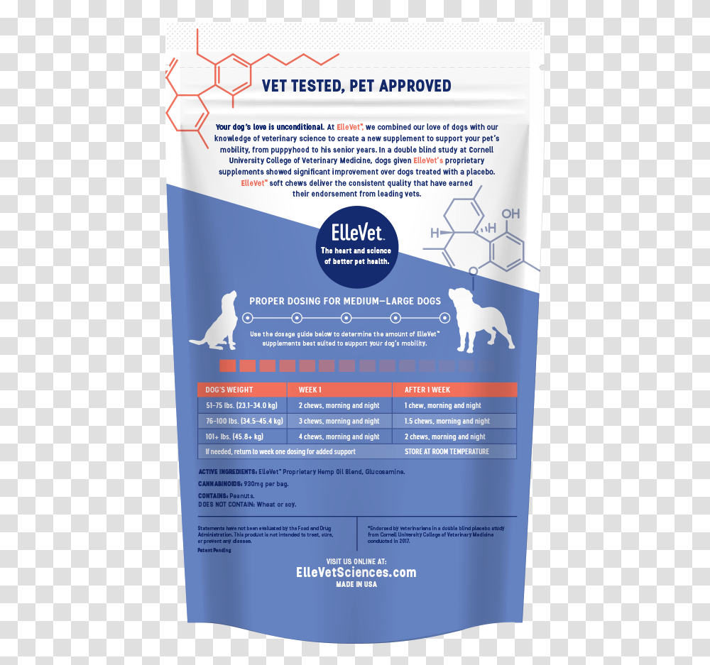 Large Dogs Mockup African Grey, Flyer, Poster, Paper, Advertisement Transparent Png
