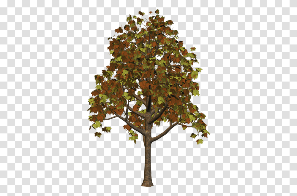 Large Fall Tree Clipart Tree, Plant, Maple, Leaf, Tree Trunk Transparent Png