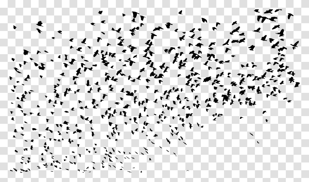 Large Flock Of Birds Silhouette Clip Arts Flock Of Birds, Gray, World Of Warcraft Transparent Png