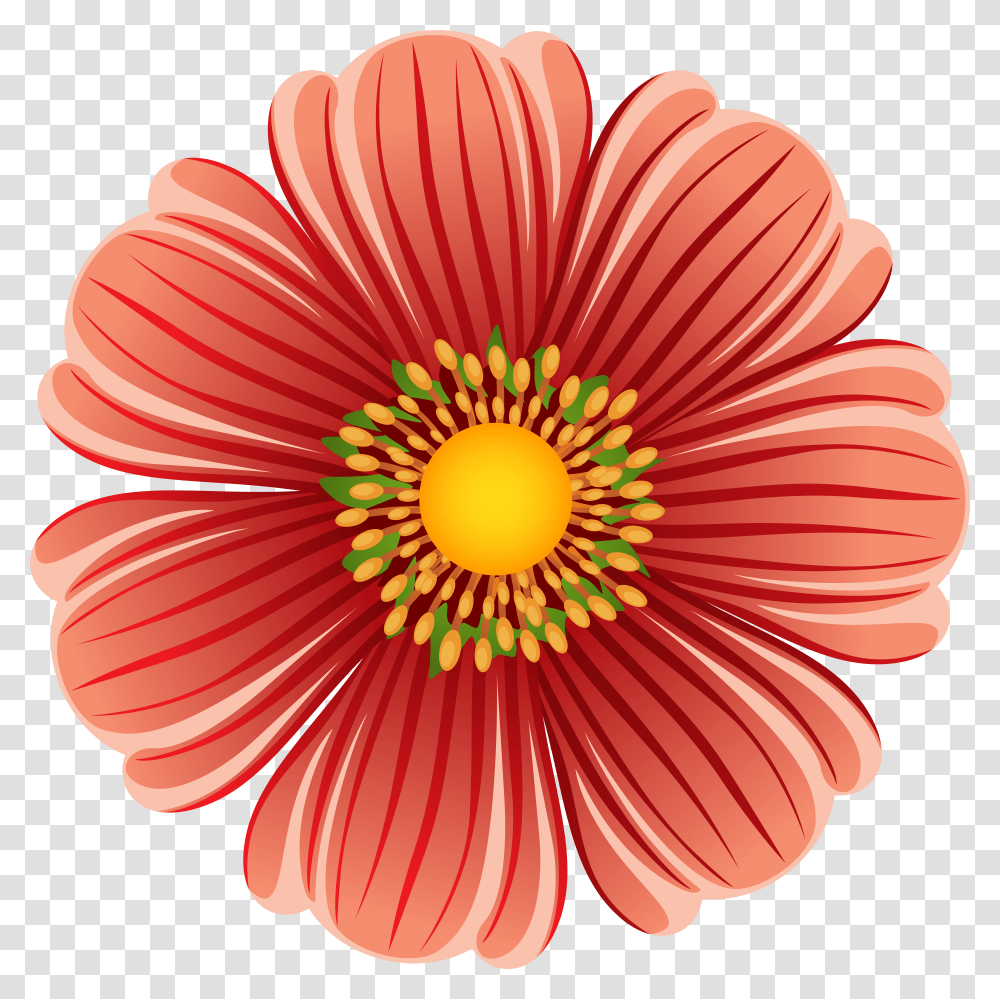 Large Flower Clip Art, Plant, Blossom, Daisy, Daisies Transparent Png