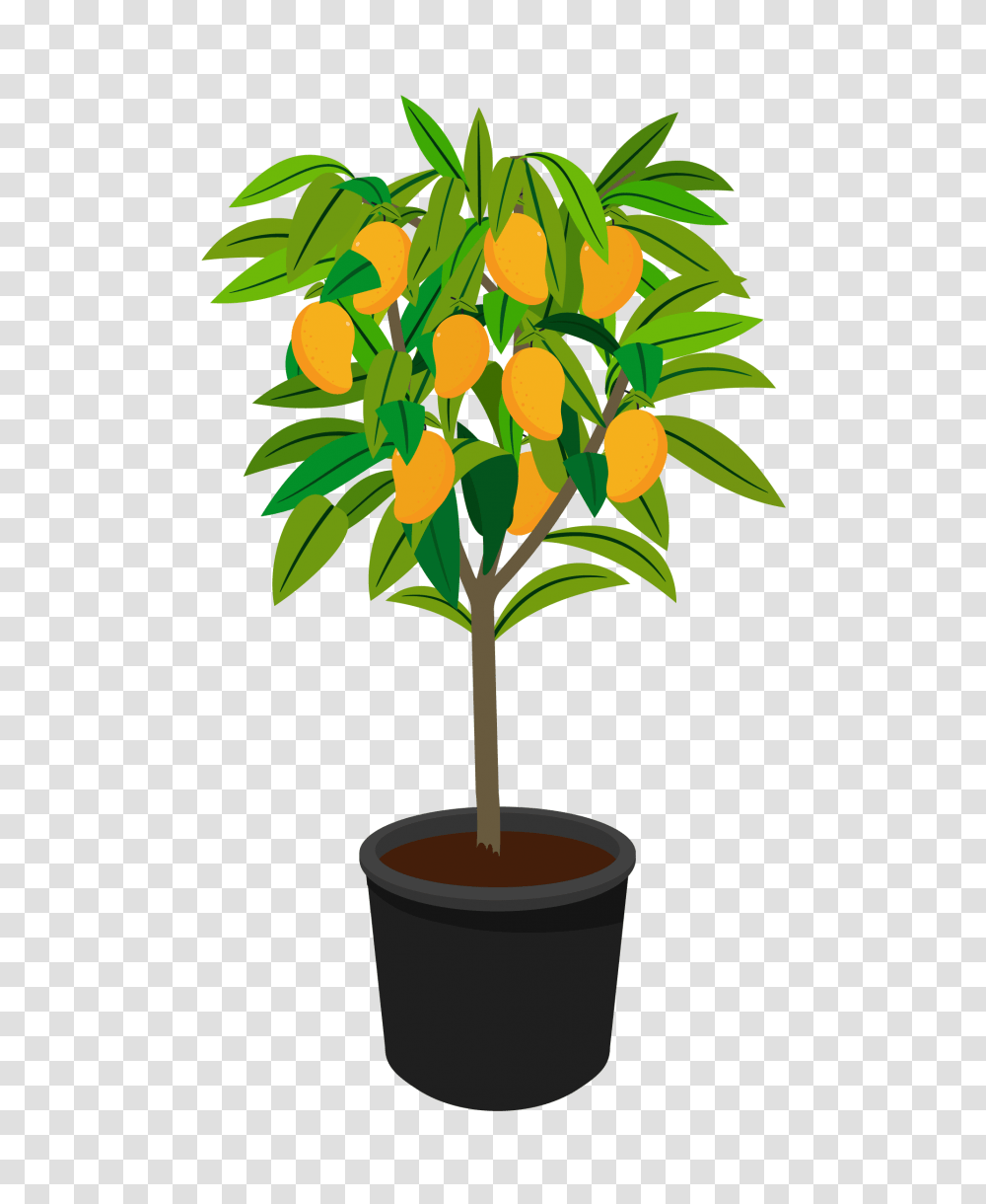 Large Fruit Tree Urban Abundance Flowerpot, Plant, Leaf Transparent Png