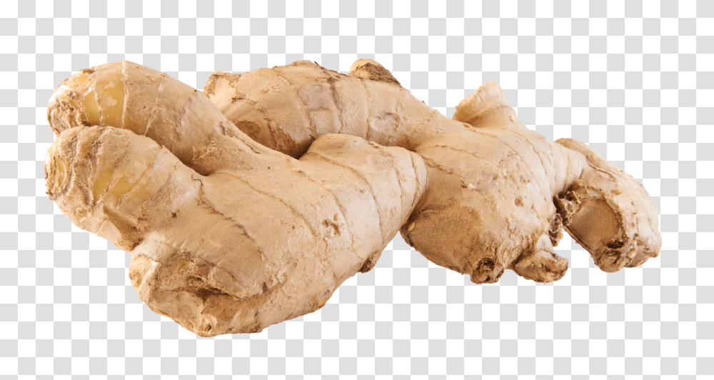 Large Ginger Image, Vegetable, Plant, Food, Bread Transparent Png