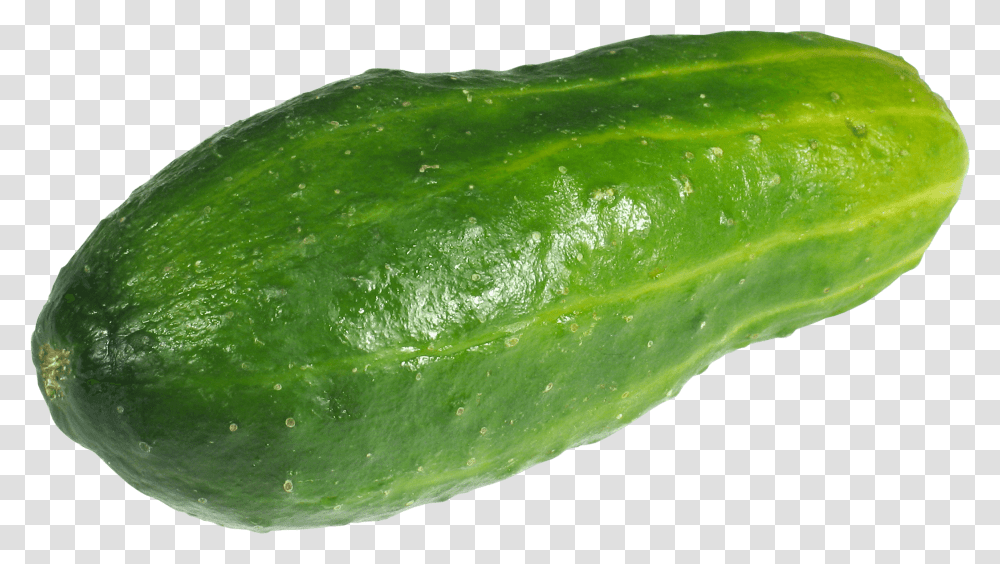 Large Green Cucumber, Plant, Vegetable, Food, Fruit Transparent Png