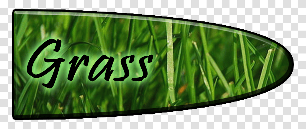 Large Green Grass, Plant, Vegetation, Collage, Poster Transparent Png