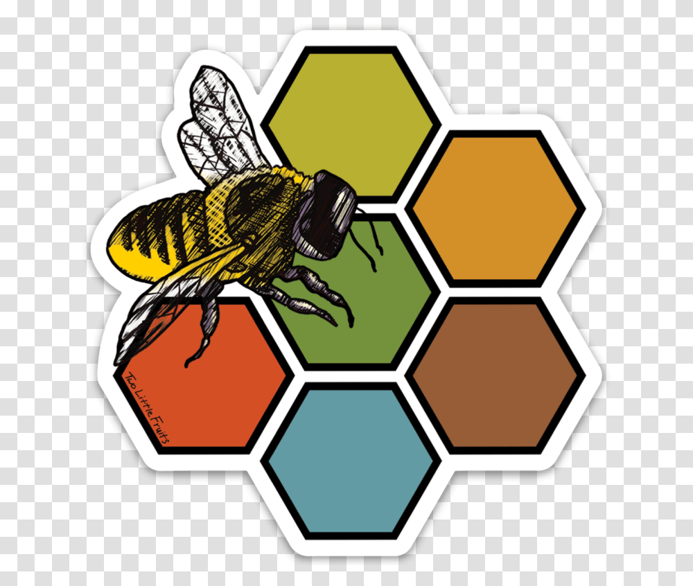 Large Honey Bee And Honeycomb Decal Two Little Fruits, Wasp, Insect, Invertebrate, Animal Transparent Png