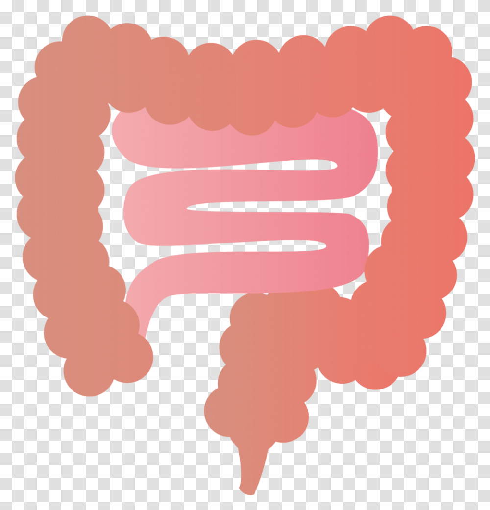 Large Intestine Colorectal Cancer Endoscopy Most Common Site For Colorectal Cancer, Teeth, Mouth, Lip Transparent Png