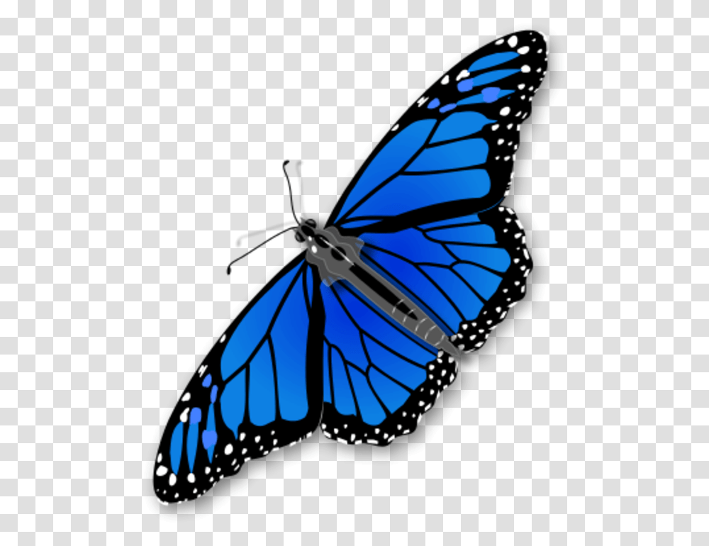 Large Monarch Butterfly 0 Butterfly Clip Art, Insect, Invertebrate, Animal, Bow Transparent Png