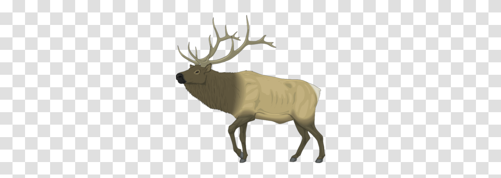 Large Moose Clip Art, Elk, Deer, Wildlife, Mammal Transparent Png