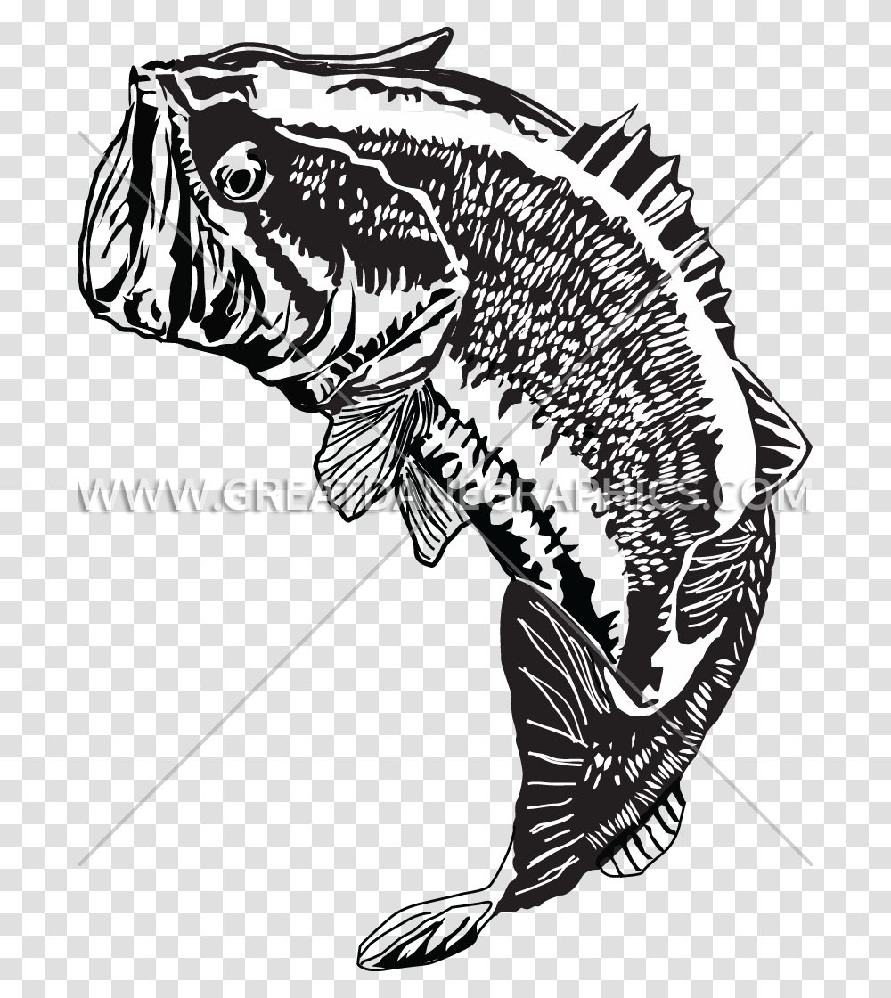 Large Mouth Bass Jumping Largemouth Bass, Animal, Mammal, Bird, Rodent Transparent Png
