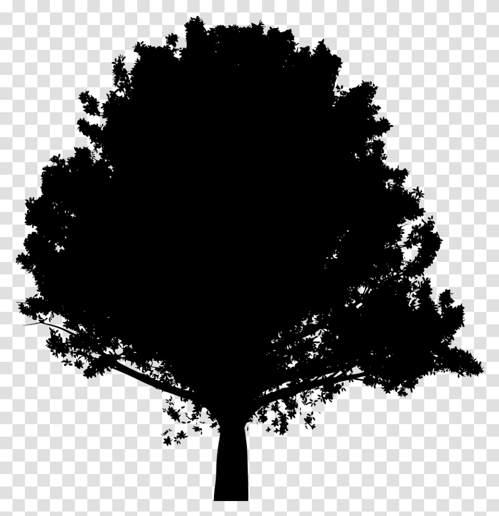 Large Oak Tree Silhouette, Gray, World Of Warcraft Transparent Png