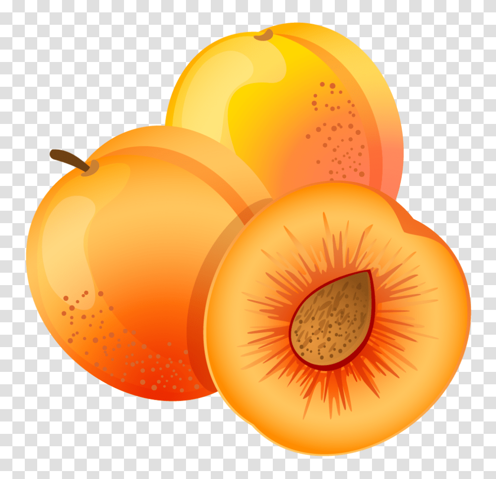 Large Painted Apricot Clipart Clip, Plant, Fruit, Food, Produce Transparent Png