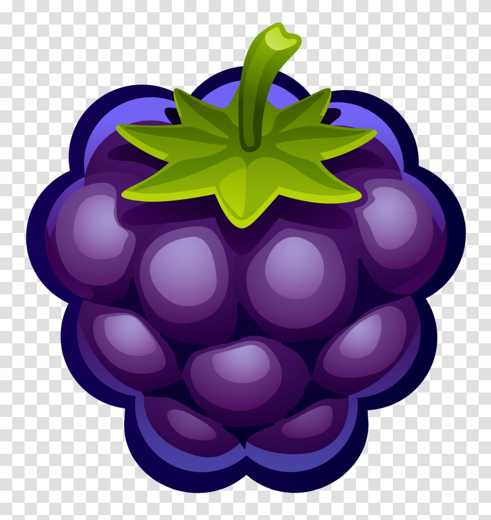 Large Painted Blueberry, Plant, Grapes, Fruit, Food Transparent Png
