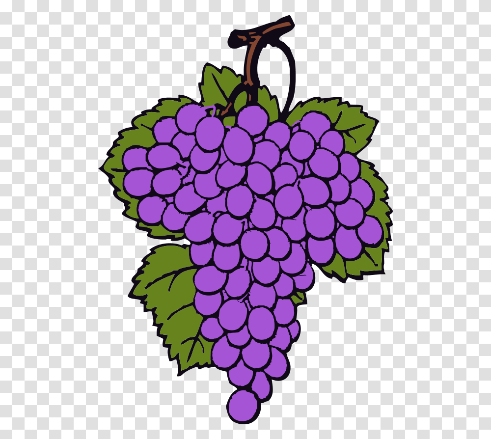 Large Painted Grapes Clipart, Fruit, Plant, Food Transparent Png
