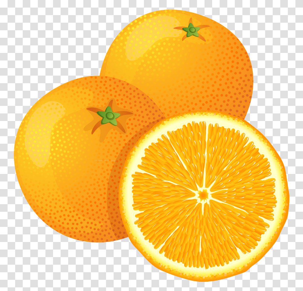 Large Painted Orange Clipart Clip Art Library Background Oranges, Citrus Fruit, Plant, Food, Grapefruit Transparent Png