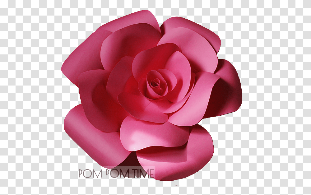 Large Paper Flower Dark Pink 50cm Pompomtimecz Garden Roses, Plant, Blossom, Petal, Dahlia Transparent Png