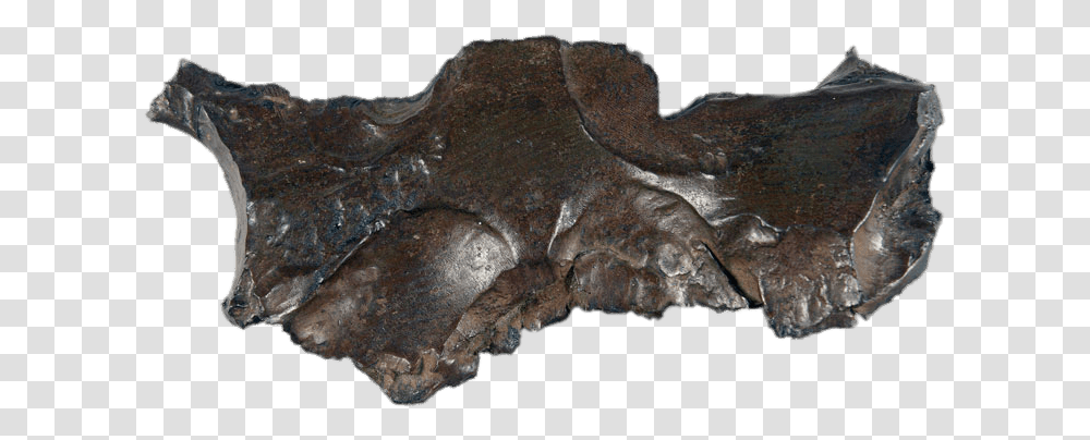 Large Piece Of Shrapnel Piece Of Metal, Soil, Fossil, Lizard, Reptile Transparent Png