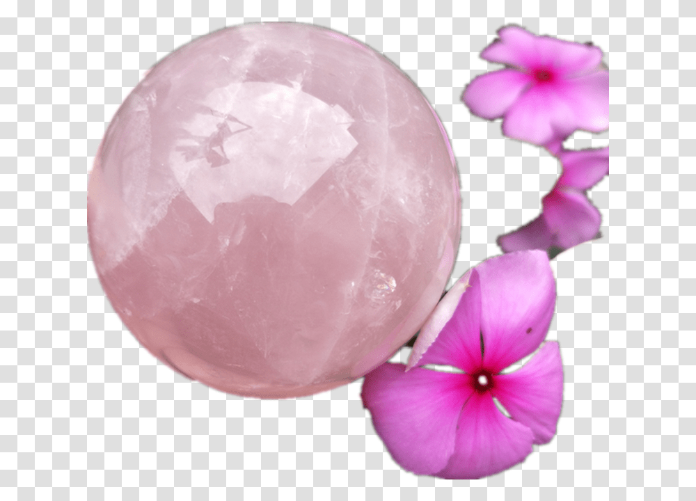 Large Pink Crystal Sphere Natural Specimen Rose Quartz Impatiens, Egg, Food, Petal, Flower Transparent Png