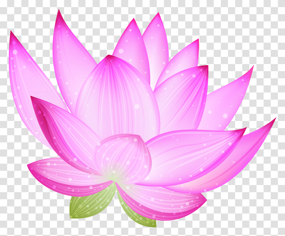 Large Pink Lotus Clipart Blog, Plant, Lily, Flower, Blossom Transparent Png