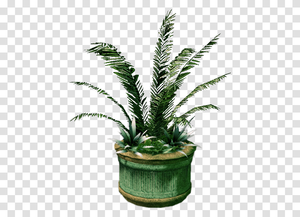 Large Planter Houseplant, Potted Plant, Vase, Jar, Pottery Transparent Png