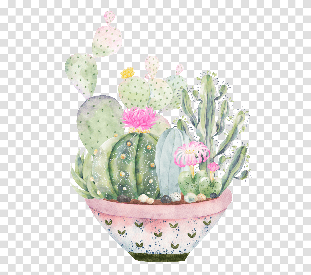 Large Plate Of Plants Logos De Cactus Y Suculentas, Birthday Cake, Dessert, Food Transparent Png