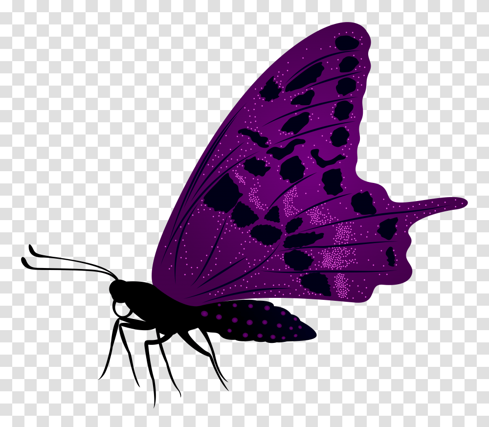 Large Purple Butterfly Clip Art, Insect, Invertebrate, Animal, Moth Transparent Png