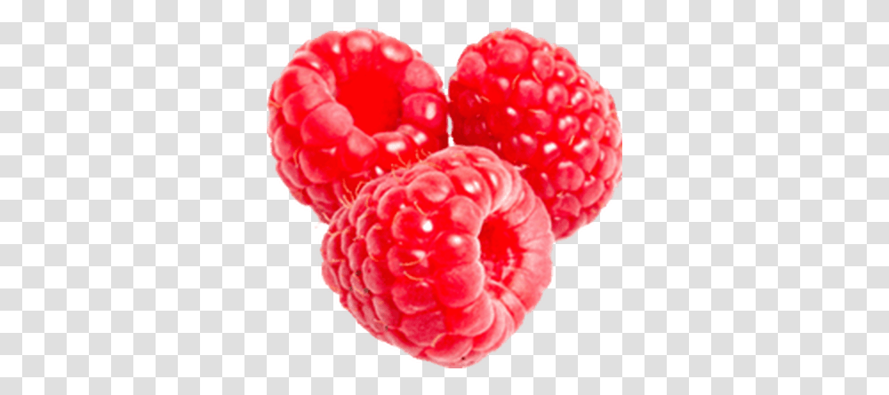 Large Raspberry Raspberry, Fruit, Plant, Food, Rose Transparent Png