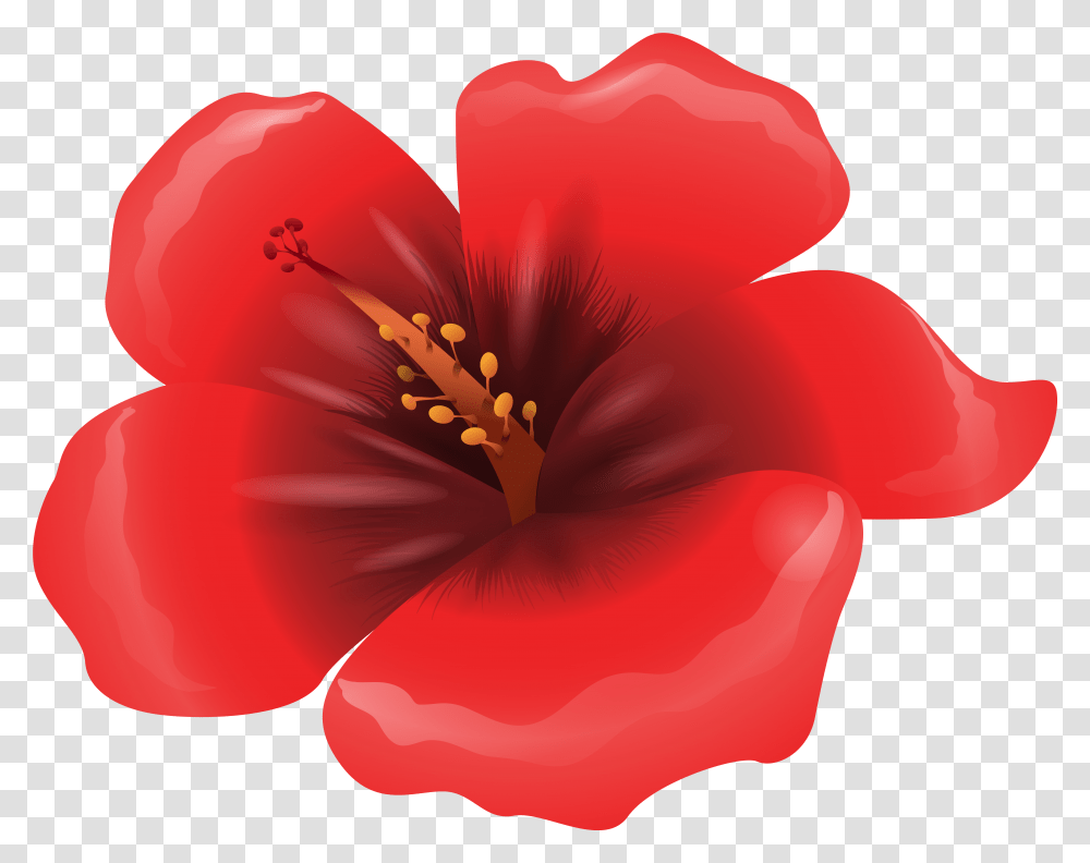Large Red Flower Clipart Image Red Flower Clip Art, Plant, Petal, Blossom, Geranium Transparent Png