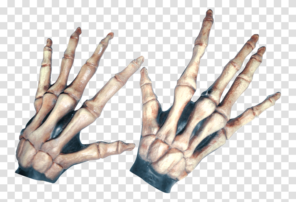 Large Skeleton Hands Bone ColoredClass Lazyload Skelet Handsker, Person, Human, Hook, Claw Transparent Png