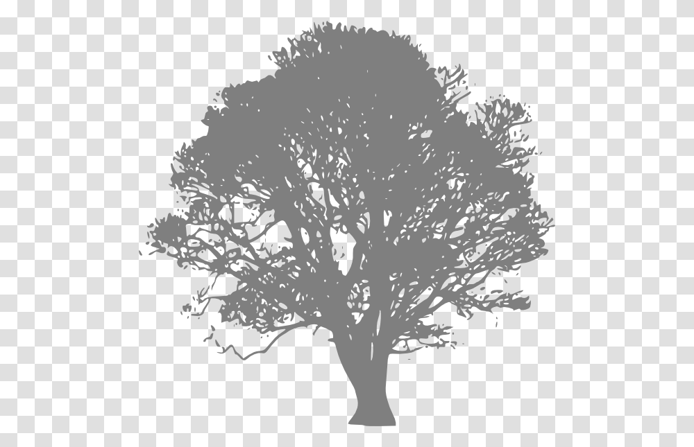 Large Tree Background Tree Silhouette, Plant, Tree Trunk, Maple, Oak Transparent Png