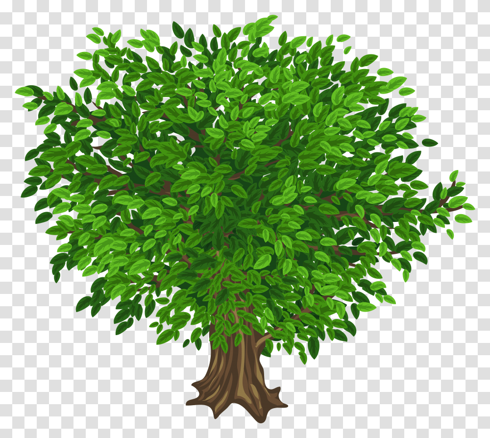 Large Tree Tree Images Without Background, Plant, Leaf, Pattern, Maple Transparent Png