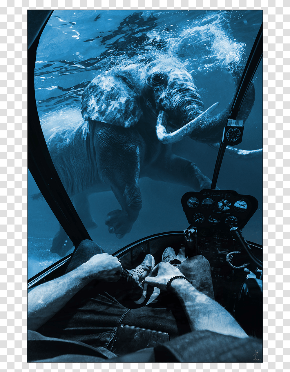 Large Wall Decor Surreal Underwater Elephant Drowning Underwater, Person, Human, Mammal, Animal Transparent Png