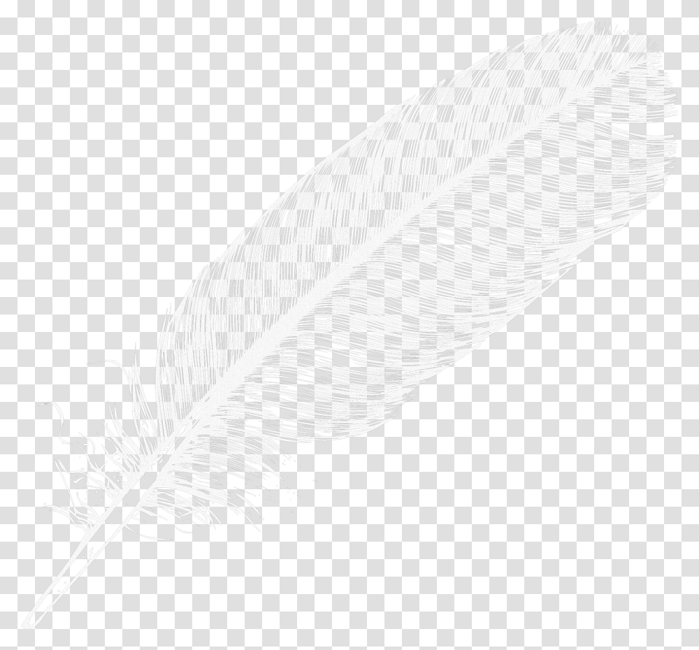 Large White Feather Clipart White Feather Background, Leaf, Plant, Drawing, Sketch Transparent Png