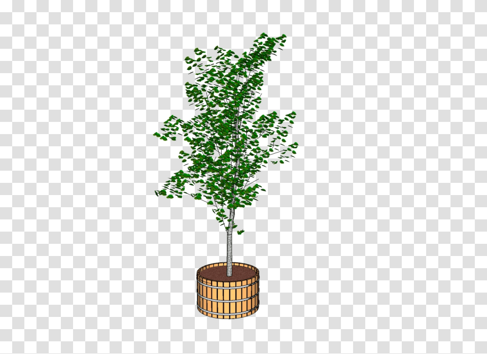 Large Wooden Planter Small Tree With Tub, Ornament, Christmas Tree, Conifer, Pine Transparent Png