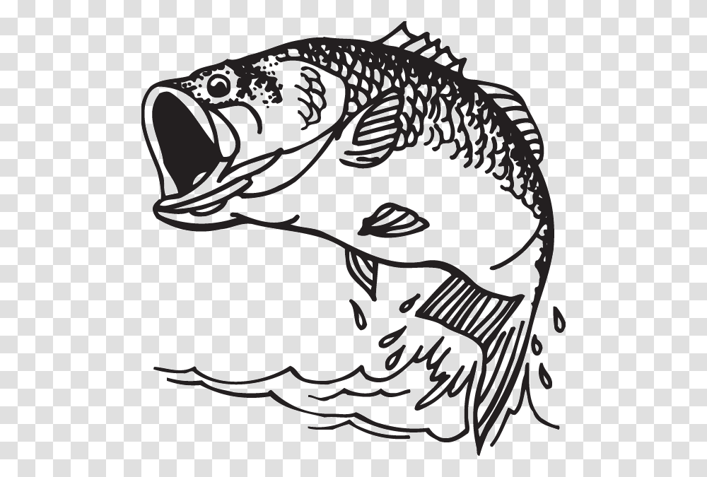 Largemouth Bass Decal Bass Fishing Bass Fish Clipart, Perch, Animal, Trout, Cod Transparent Png