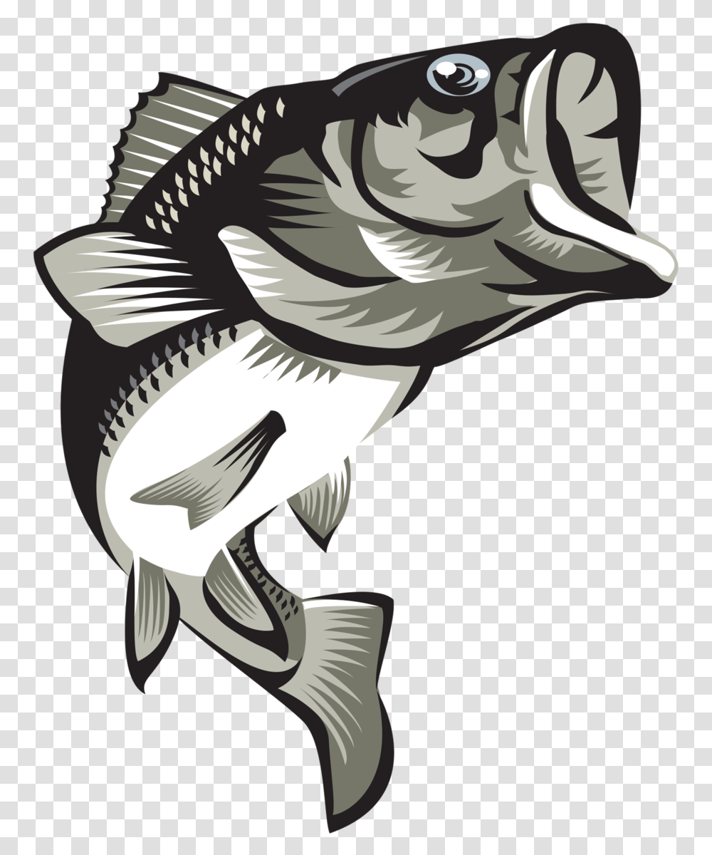 Largemouth Bass Final2coloured Largemouth Bass, Animal, Fish, Bird, Hat Transparent Png
