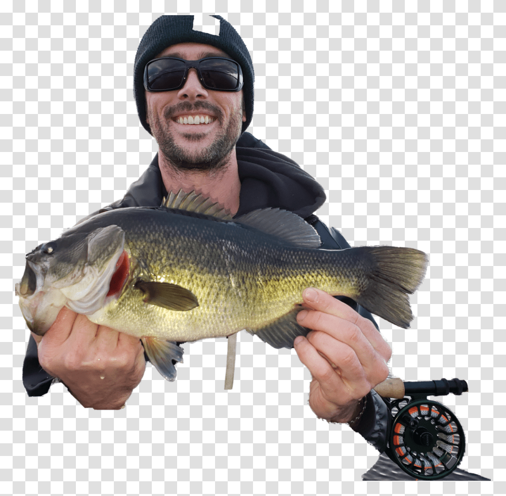 Largemouth Bass, Fish, Animal, Person, Human Transparent Png