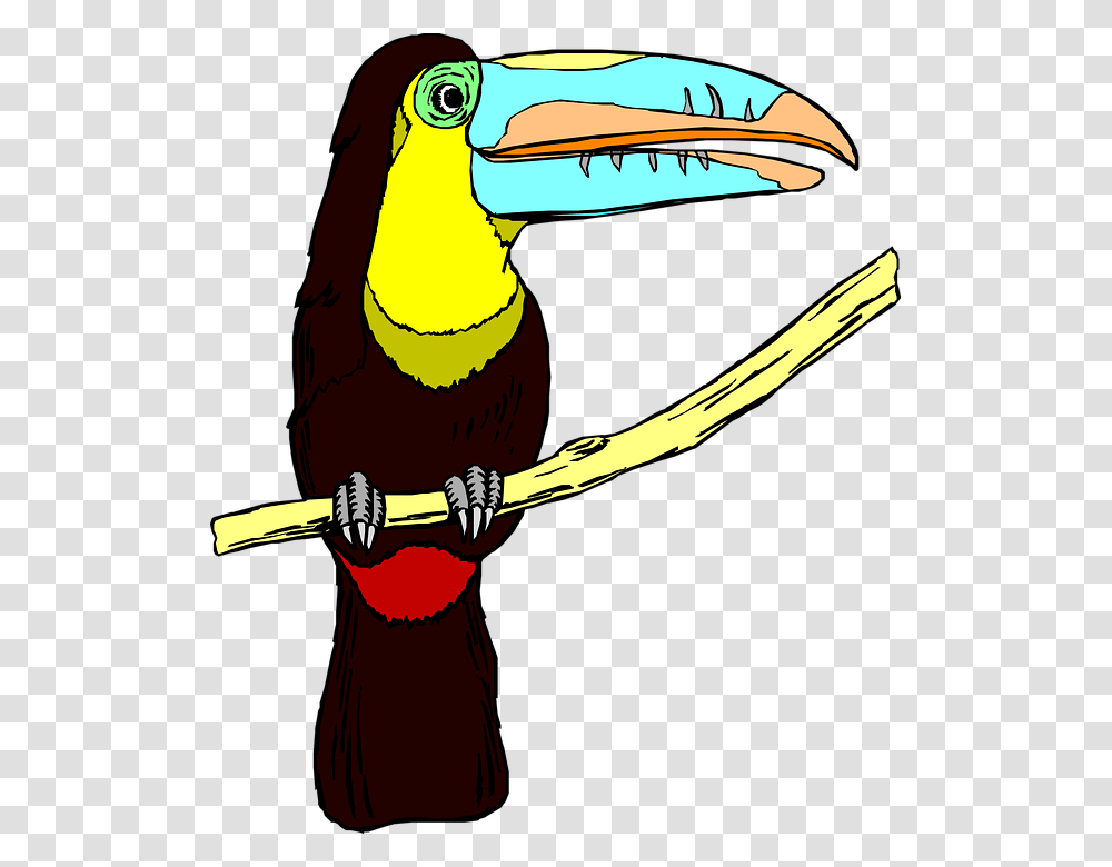 Larger Clipart Big Bird, Beak, Animal, Toucan, Bee Eater Transparent Png