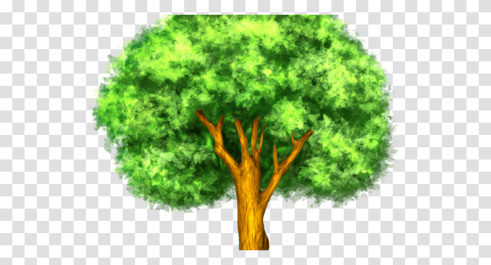 Larger Clipart Mango Tree Plant Response To Climate Change, Vegetation, Moss, Nature, Outdoors Transparent Png