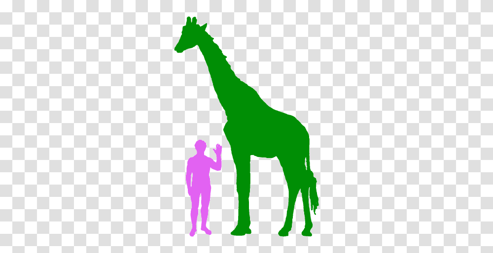 Larger Clipart Tall Short Animal, Person, Human, Silhouette, Mammal Transparent Png