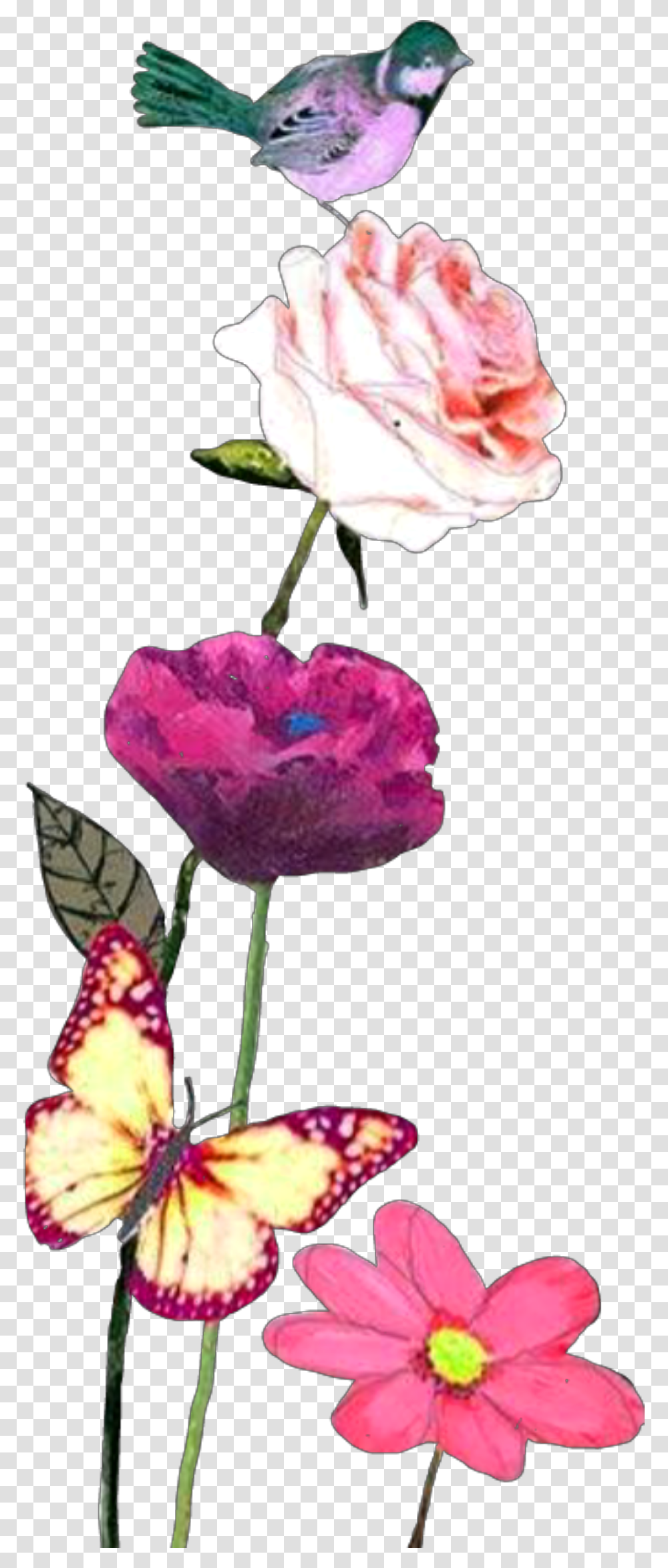 Largest Collection Of Free To Edit Flowers Nature Stickers, Plant, Blossom, Petal, Bird Transparent Png