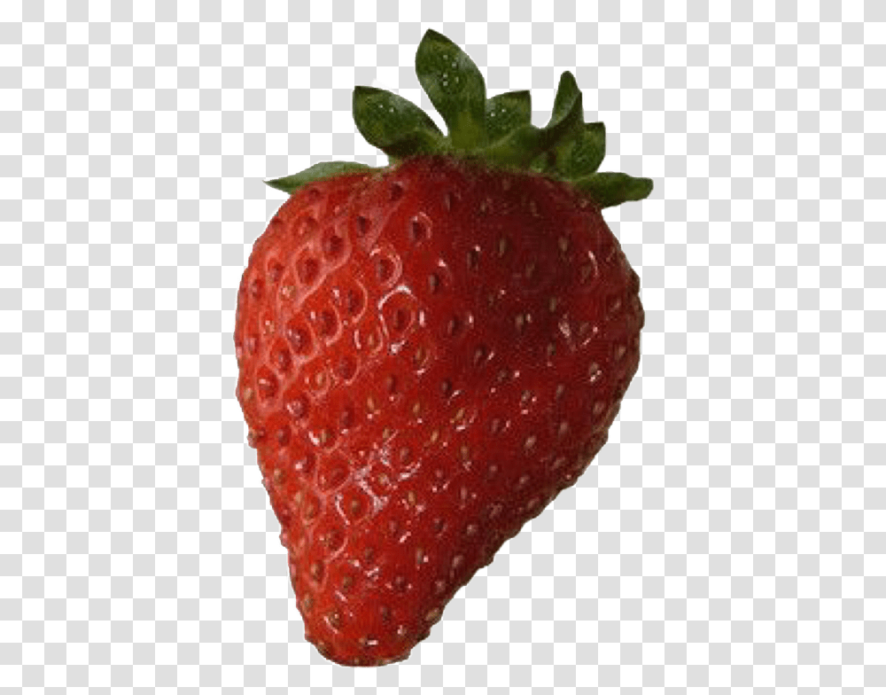 Largest Collection Of Free To Edit Fresh Prince Of Strawberry, Fruit, Plant, Food Transparent Png