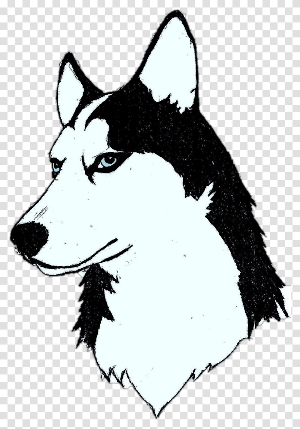 Largest Collection Of Free To Edit Husky Dog Stickers, Wolf, Mammal, Animal, Person Transparent Png