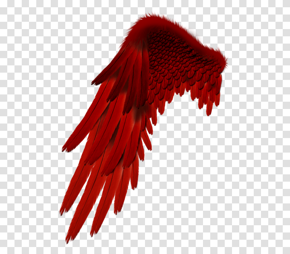 Largest Collection Of Free To Edit Red Bandana Click Stickers, Bird, Animal, Eagle, Vulture Transparent Png