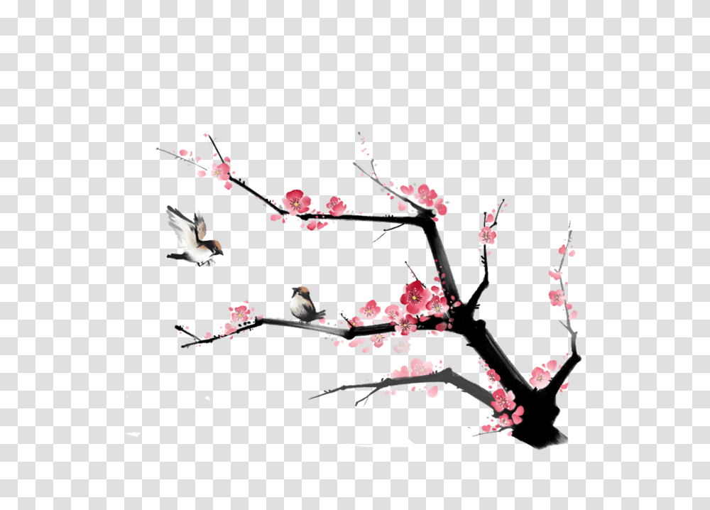Largest Collection Of Free To Edit Sakura Chiyo Stickers, Plant, Flower, Blossom, Bird Transparent Png