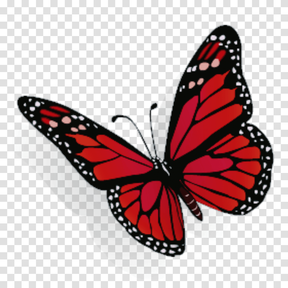 Largest Collection Of Free To Edit Stickers, Monarch, Butterfly, Insect, Invertebrate Transparent Png
