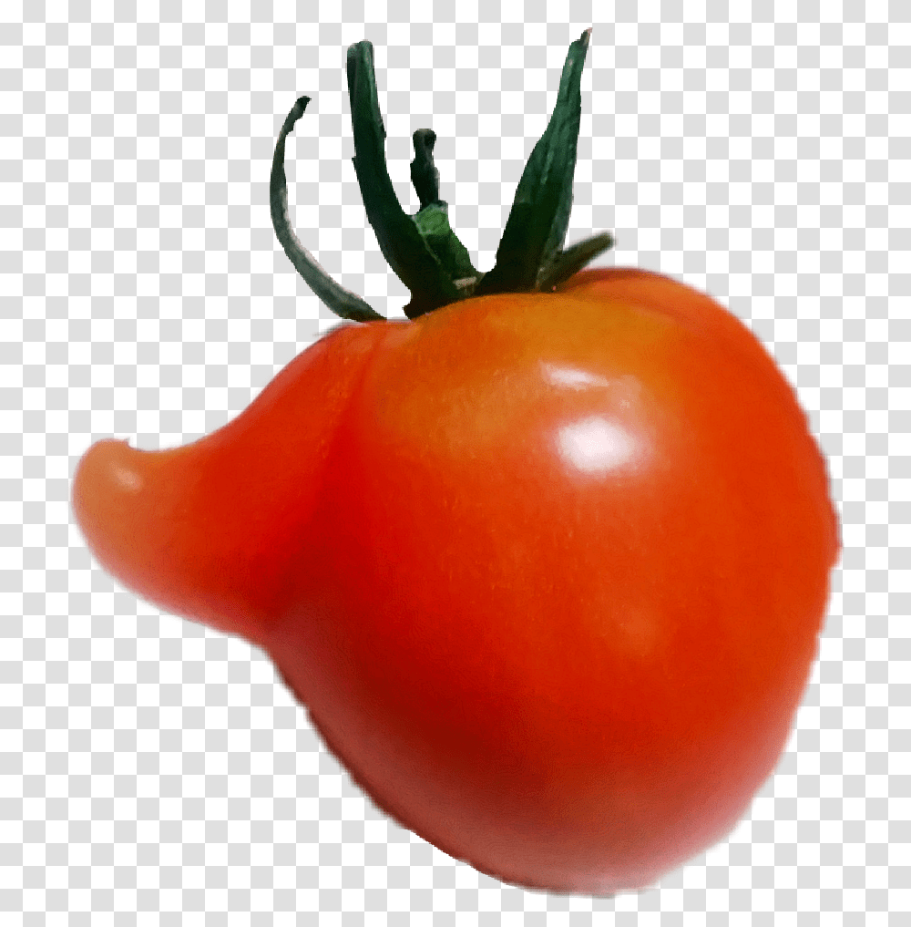 Largest Collection Of Free To Edit Tomato Pasta Stickers, Plant, Vegetable, Food Transparent Png