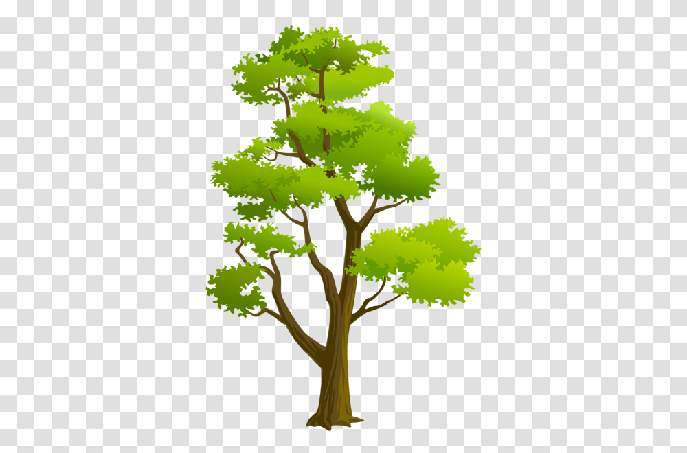 Largest Collection Of Free To Edit Tree Sap Stickers, Plant, Vegetation, Outdoors, Leaf Transparent Png