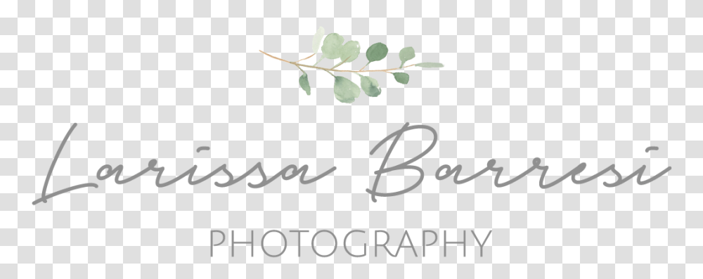 Larissa Barresi Photography Calligraphy, Plant, Handwriting, Flower Transparent Png