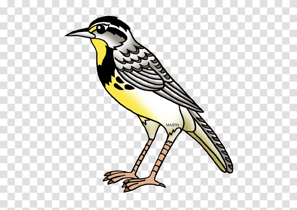 Lark Clip Art, Bird, Animal, Finch, Canary Transparent Png